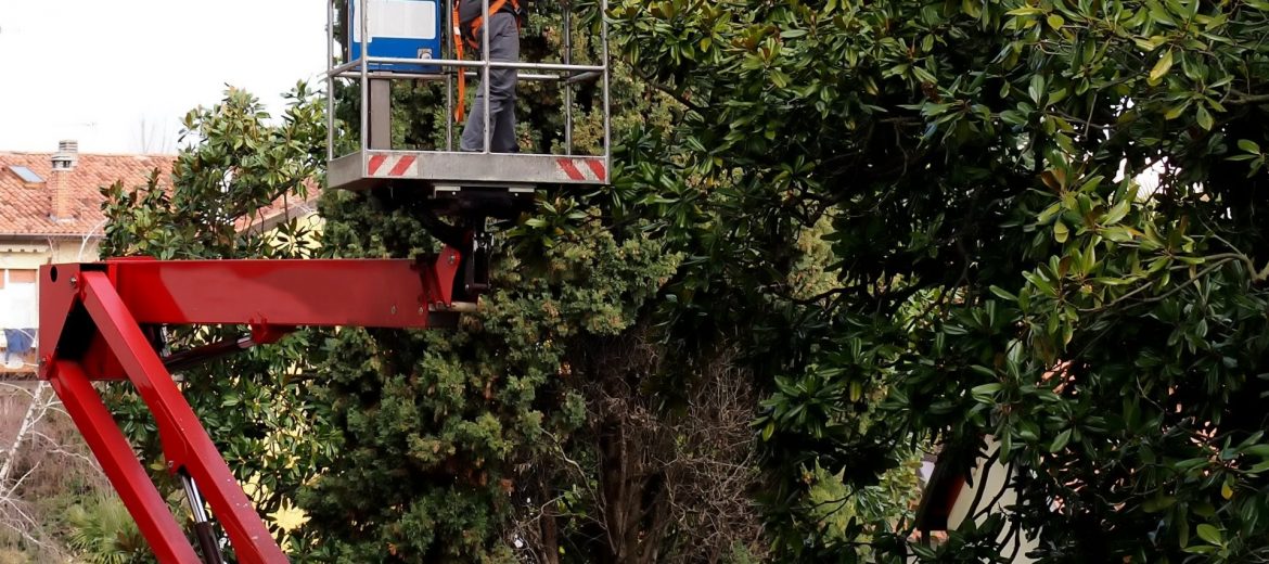 JR's Tree Service